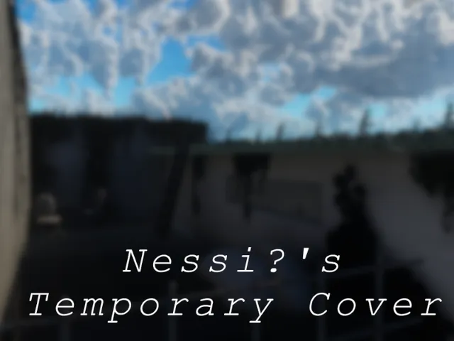 Temporary Cover