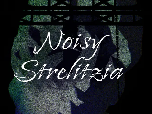 Noisy strelitzia․․․