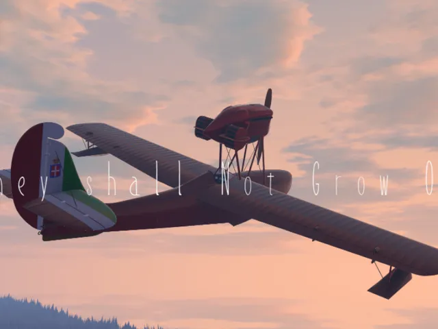 They shall Not Grow Old․