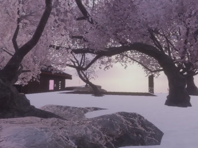 Blossoming Bliss