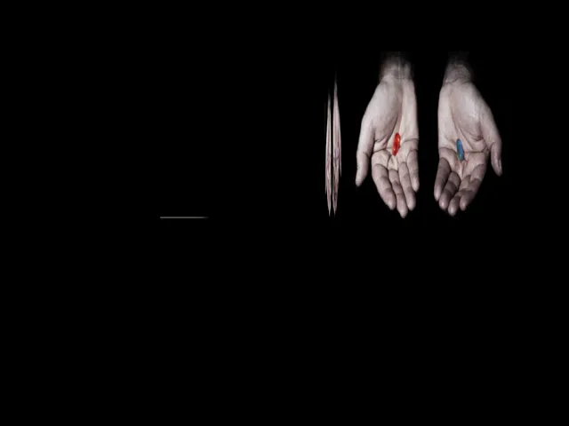 Multiverse （metastar․world）