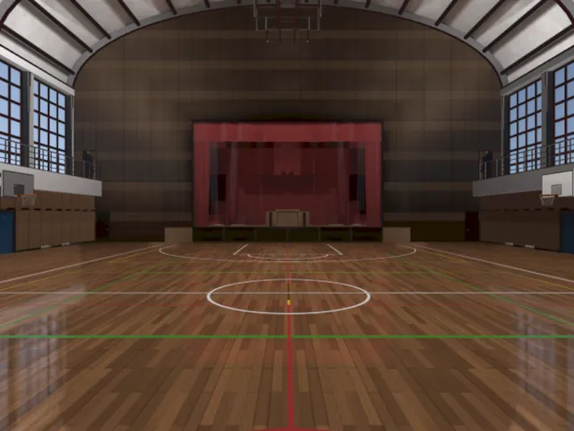 ボールで遊べる体育館（諸説あり）