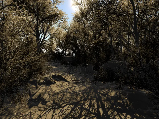 Winter Forest