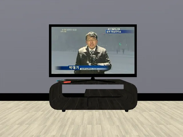 MangoBingsoo's Room 망고빙수의 방