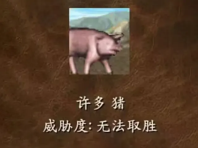 许多猪