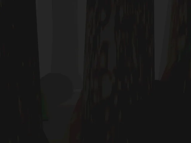 Fog Forest