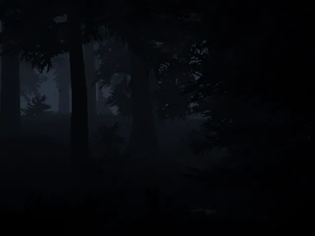 Dark Forest