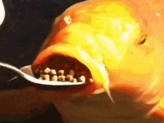 Fish World