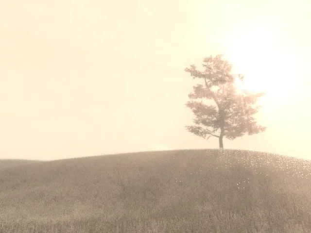 Archive˸ The Meadow