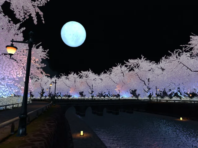 幽桜夜川