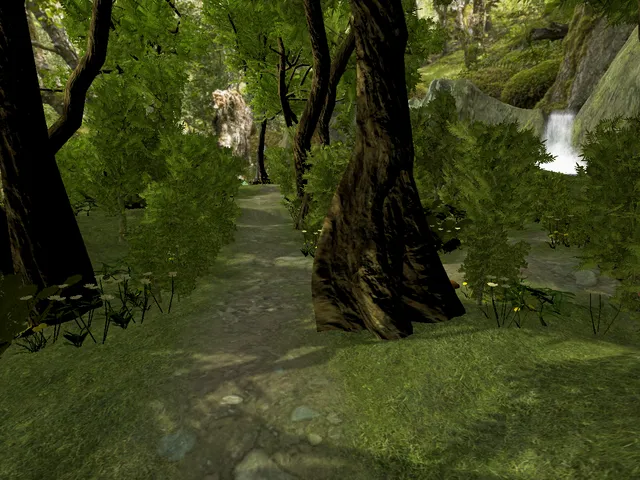 Forest
