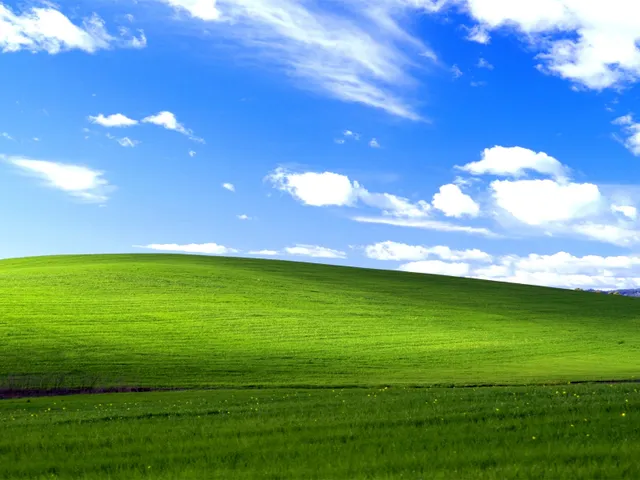 WINDOWS XP