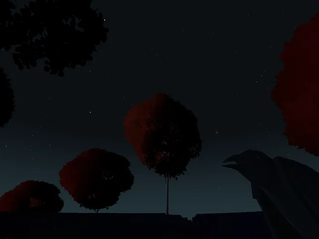 the Forest of Eyes