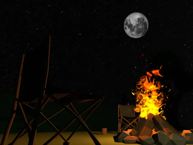 Moonlit Bonfire