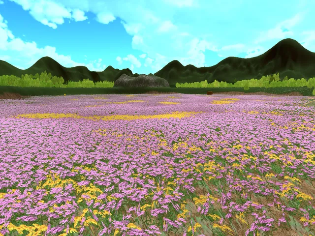 名もなき草原_Day