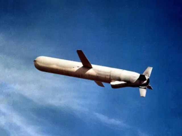 THE MISSILE