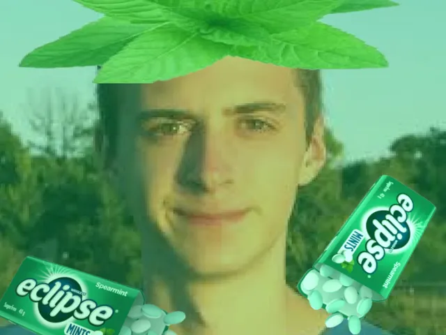 Spingel Bobel's Roblox Avatar World