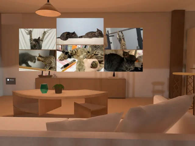 猫動画を眺めるためのワールド