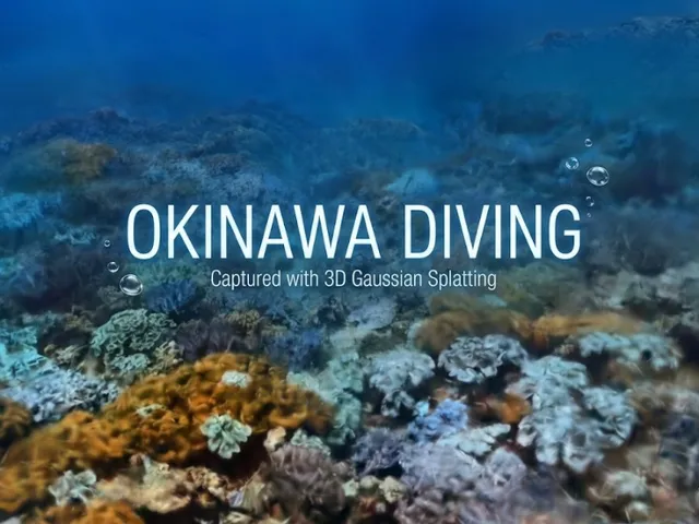 Okinava Diving