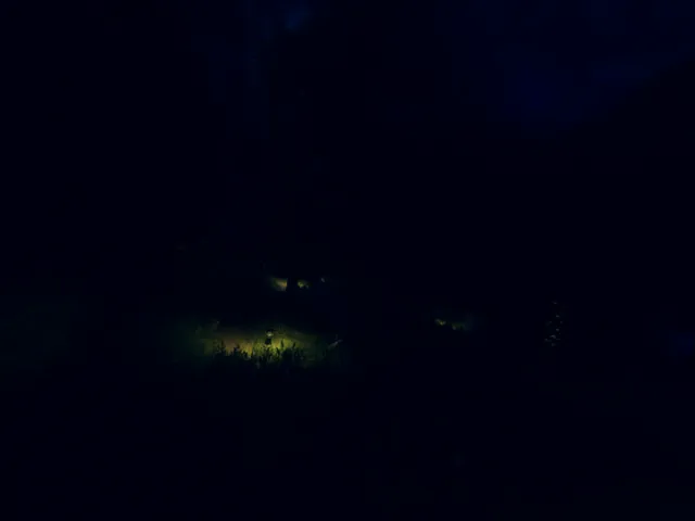 Silent Forest For The Prophet