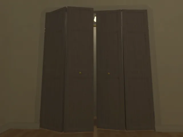 Stuck in the closet