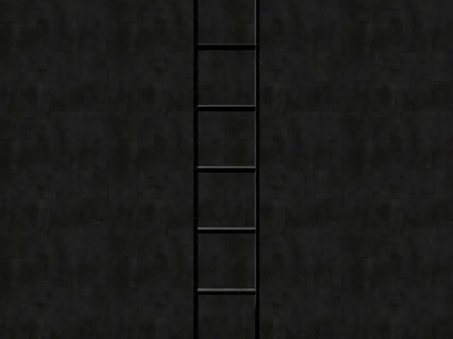 Ladder