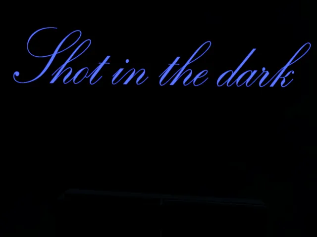 Shot in the dark