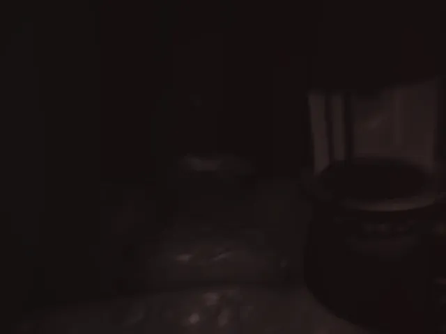 The Spinal Staircase