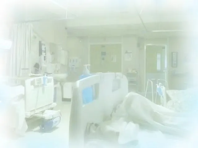 希望能死在一个美丽的地方＋v＋