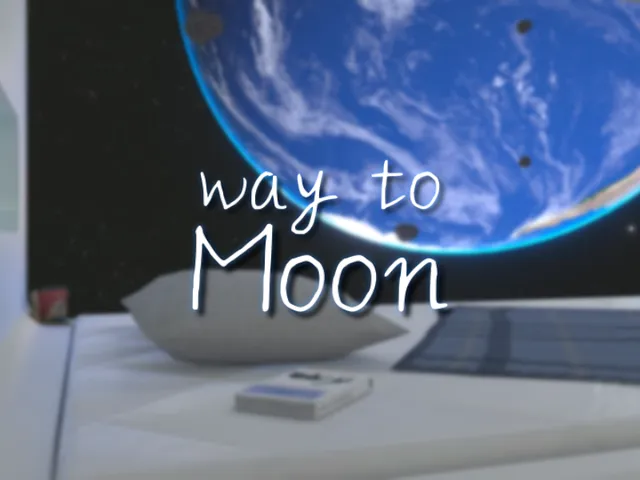 way to Moon