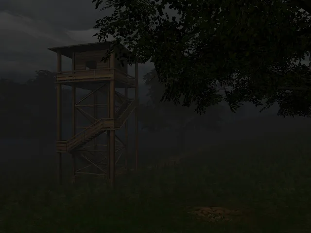 Dark Forest