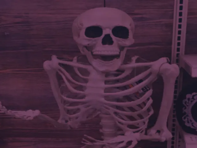 Skeleton avatar world