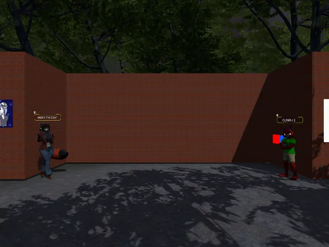 Mercy and CL3NR's Avatar World