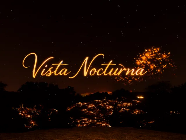 THE NIGHT VIEW - LA VISTA NOCTURNA
