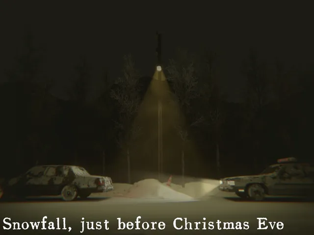 Snowfall‚ just before Christmas Eve