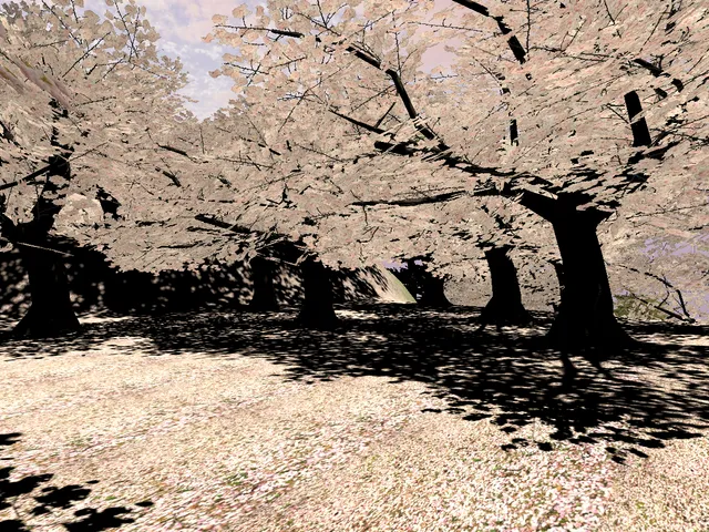 Hanami Sakura -TomisuOtani-