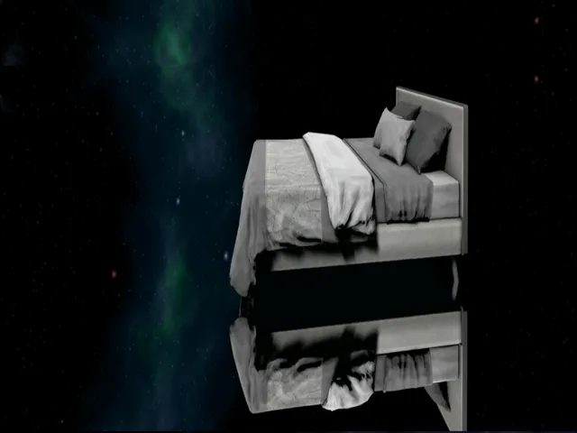 The sleep