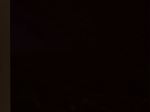 L․S․R․H