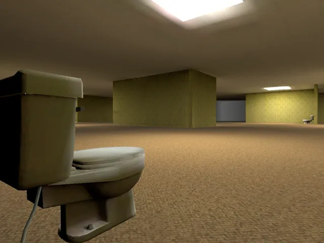 The Bathrooms