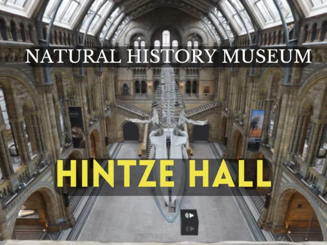 Natural History Museum - Hintze Hall