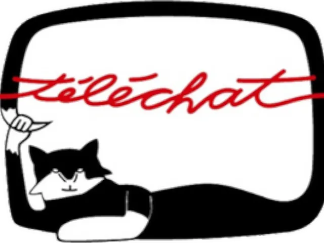 Telechat Studio (w⁄ Museum (A LITTLE PERFECT))