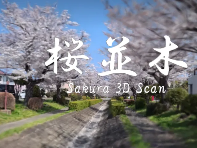 桜並木 -Sakura 3D Scan-