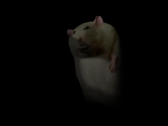 Robert‚ the Royal Oathbreaker