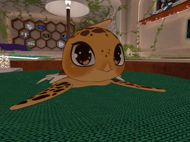 A Turtles Resting Place