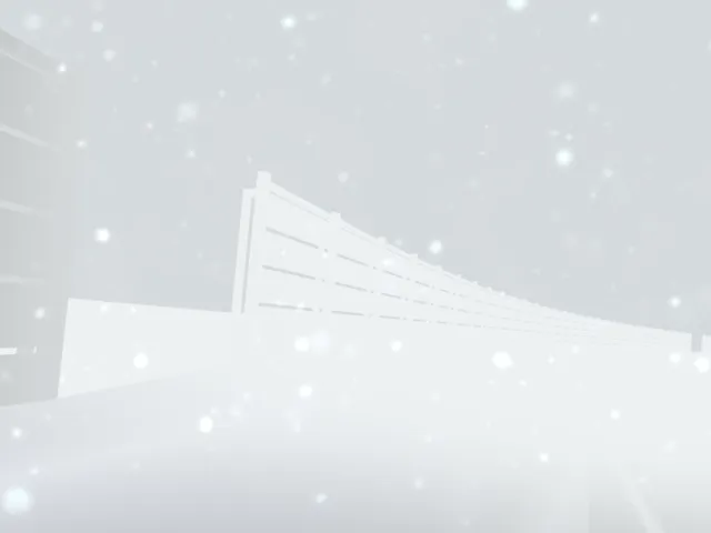 Snow Fences