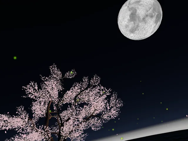 Sakura Chill World