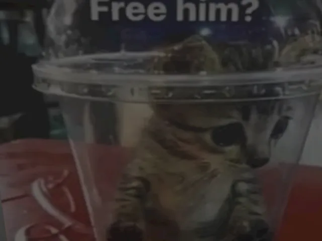 GhostTy33's avatar world