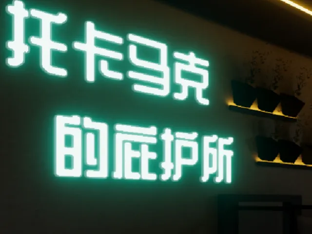 托卡马克的庇护所