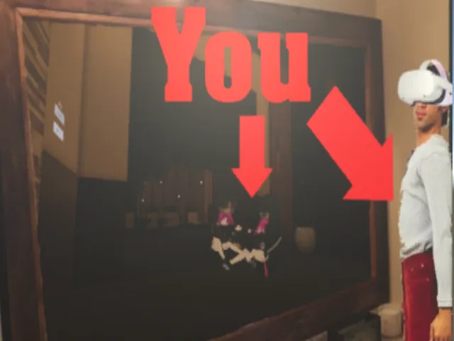 What Vrchaters Wish They Can See 24⁄7