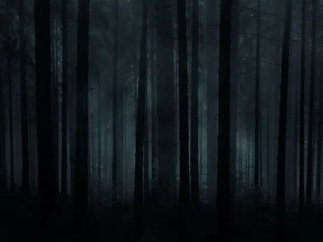 The Weeping Wilds